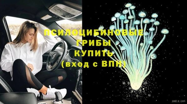 МДПВ Кукмор