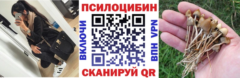 Псилоцибиновые грибы Psilocybe кракен онион Тотьма маркетплейс состав купить наркотики цена